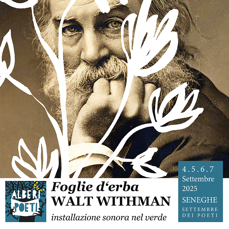 withman seneghe 2025 800